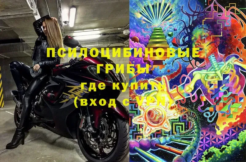 Галлюциногенные грибы Magic Shrooms  mega сайт  Адыгейск 